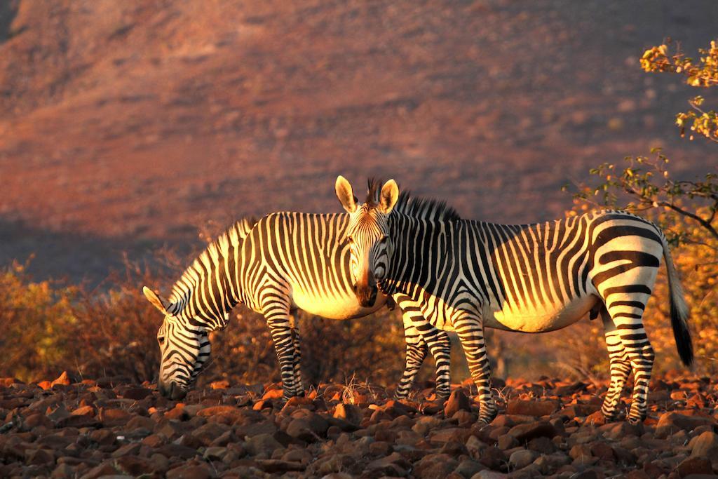 Etendeka Mountain Camp Damaraland Luaran gambar