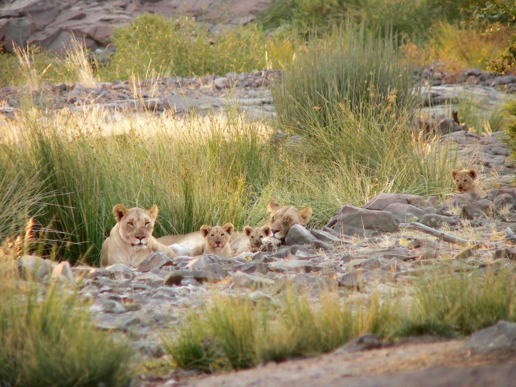 Etendeka Mountain Camp Damaraland Luaran gambar