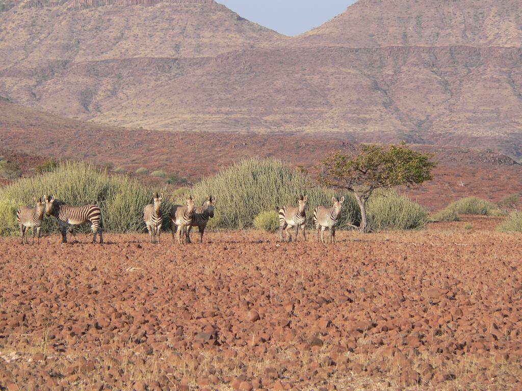Etendeka Mountain Camp Damaraland Luaran gambar