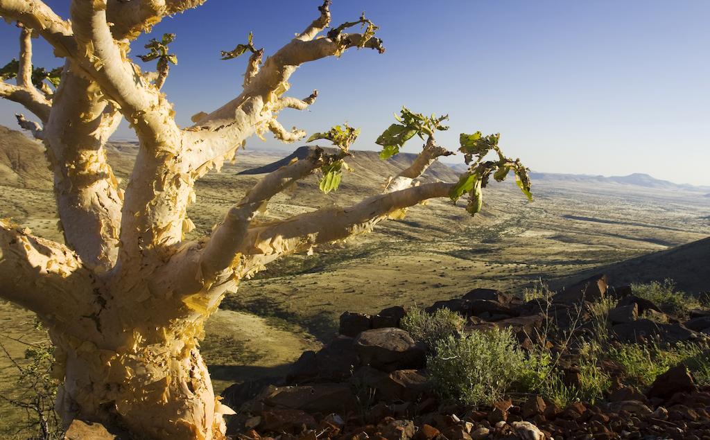 Etendeka Mountain Camp Damaraland Luaran gambar