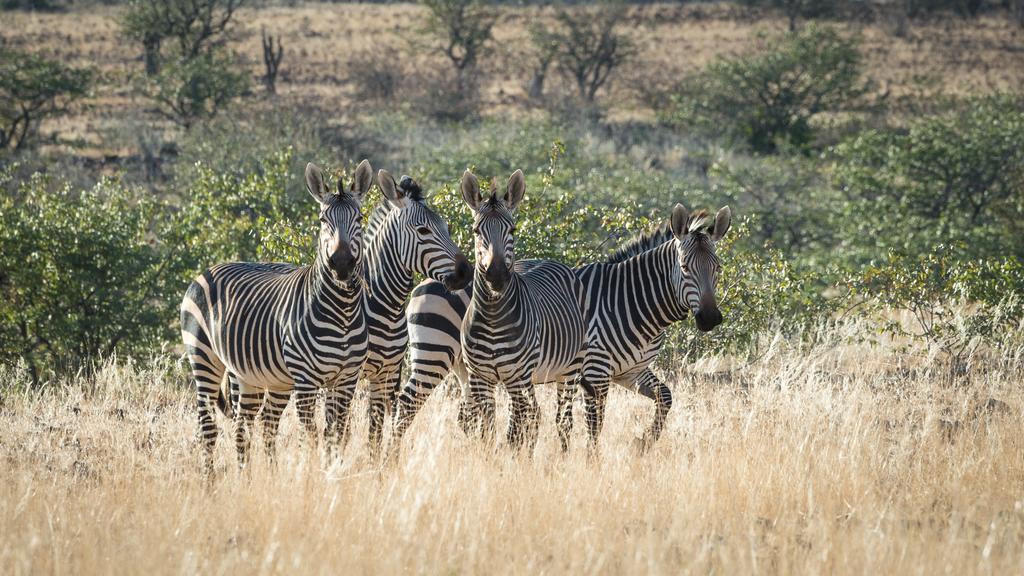 Etendeka Mountain Camp Damaraland Luaran gambar